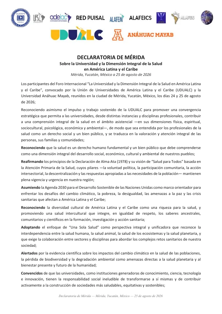 Vista previa de Declaración de Mérida